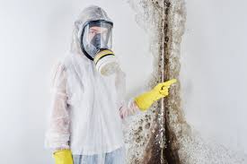 Best Air Quality Testing for Mold Spores  in Belton, SC